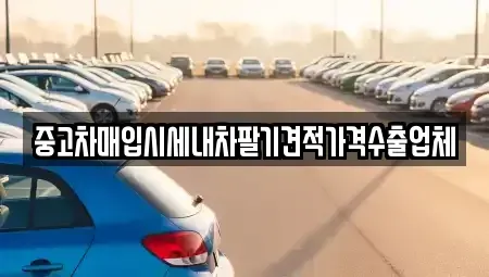 경상북도 경산시 삼풍동 단기렌트카,중고차매입,중고차매매,중고차,렌트카,장기렌트카