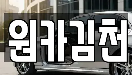 경상북도 김천시 덕곡동 렌트카 전문 원카김천