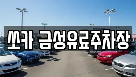 경상북도 안동시 삼산동 렌트카 전문 쏘카 금성유료주차장