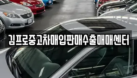 경상북도 안동시 삼산동 중고차매입 전문 김프로중고차매입판매수출매매센터