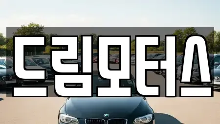 경상북도 영주시 하망동 중고차 전문 드림모터스