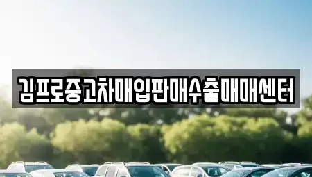 경상북도 영천시 북안면 중고차매매 전문 김프로중고차매입판매수출매매센터