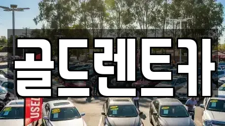 경상북도 포항시 북구 동빈2가 렌트카 전문 골드렌트카
