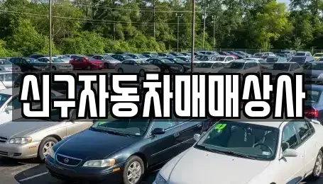 경상북도 포항시 북구 동빈2가 중고차 전문 신구자동차매매상사