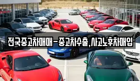 경상북도 포항시 북구 동빈2가 장기렌트카,중고차,렌트카,단기렌트카,중고차매입,중고차매매