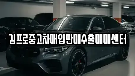 경상북도 포항시 북구 동빈2가 중고차매입 전문 김프로중고차매입판매수출매매센터