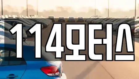 경상북도 포항시 북구 청하면 중고차매매 전문 114모터스