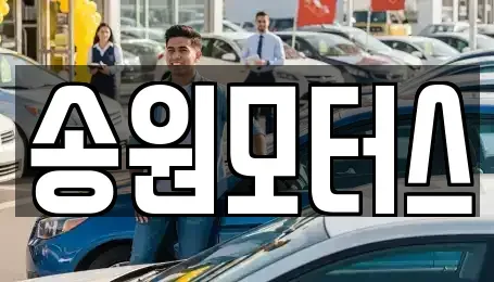광주 남구 이장동 중고차 전문 송원모터스