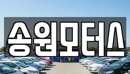 광주 남구 이장동 중고차매입 전문 송원모터스