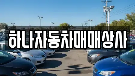 광주 남구 이장동 중고차매입 전문 하나자동차매매상사