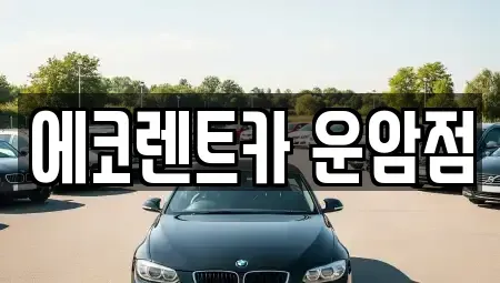 광주 북구 운암동 렌트카 전문 에코렌트카 운암점