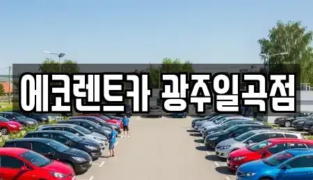 광주광역시 북구 일곡동 렌트카 전문 에코렌트카 광주일곡점