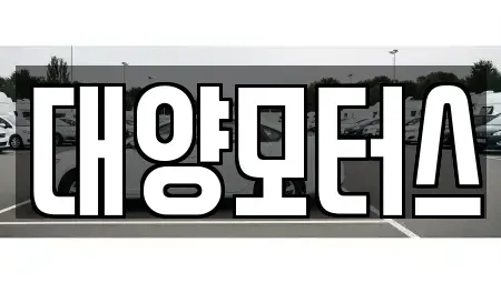 광주광역시 북구 중흥동 중고차 전문 대양모터스