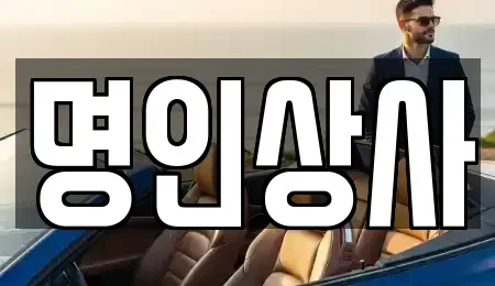 광주광역시 북구 중흥동 중고차 전문 명인상사