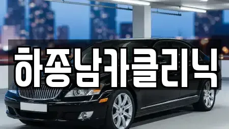 광주광역시 북구 중흥동 중고차 전문 하종남카클리닉