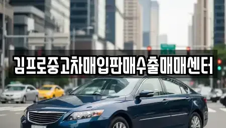 광주광역시 북구 중흥동 중고차매매 전문 김프로중고차매입판매수출매매센터