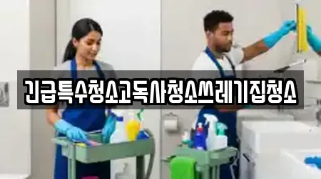 긴급특수청소고독사청소쓰레기집청소