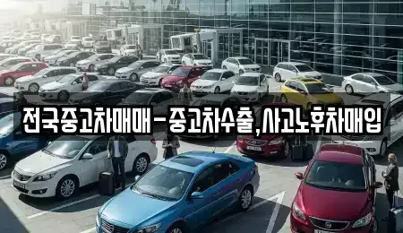대구 달서구 신당동 중고차매입 전문 전국중고차매매-중고차수출,사고노후차매입