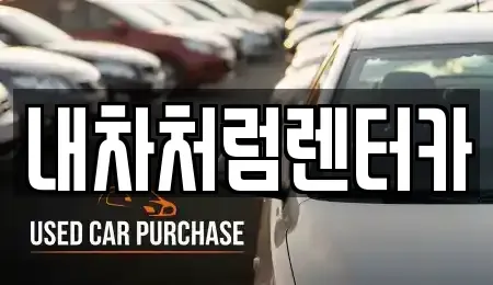 대구 북구 국우동 렌트카 전문 내차처럼렌터카