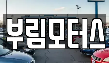 대구 북구 국우동 중고차 전문 부림모터스