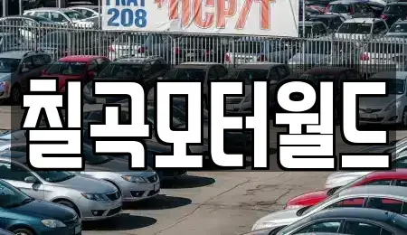 대구 북구 국우동 중고차 전문 칠곡모터월드