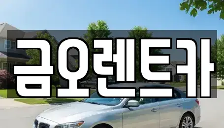 대구 중구 화전동 렌트카 전문 금오렌트카