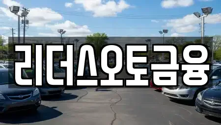 대구 중구 화전동 장기렌트카 전문 리더스오토금융