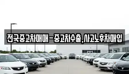 대구 중구 화전동 중고차 전문 전국중고차매매-중고차수출,사고노후차매입