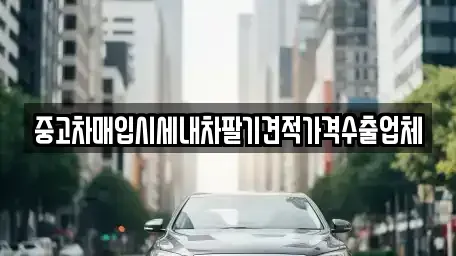 대전 대덕구 중고차매입 전문 중고차매입시세내차팔기견적가격수출업체