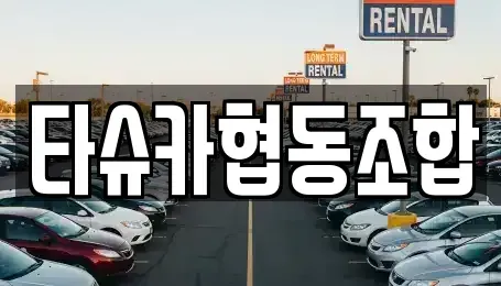 대전 서구 갈마동 장기렌트카 전문 타슈카협동조합