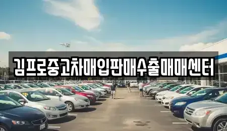 대전 서구 갈마동 중고차매매 전문 김프로중고차매입판매수출매매센터