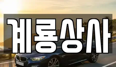 대전광역시 동구 대별동 중고차 전문 계룡상사