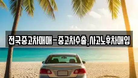 대전광역시 동구 삼정동 중고차 전문 전국중고차매매-중고차수출,사고노후차매입