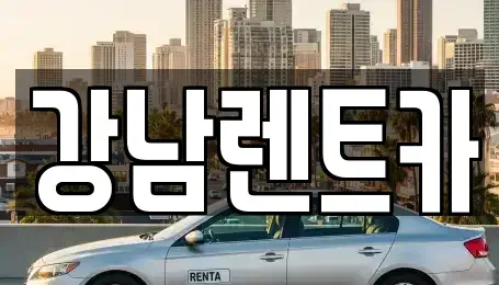 대전광역시 유성구 둔곡동 렌트카 전문 강남렌트카