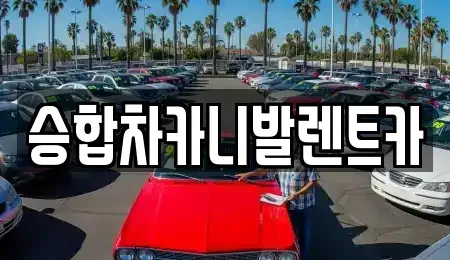 대전광역시 유성구 둔곡동 렌트카 전문 승합차카니발렌트카