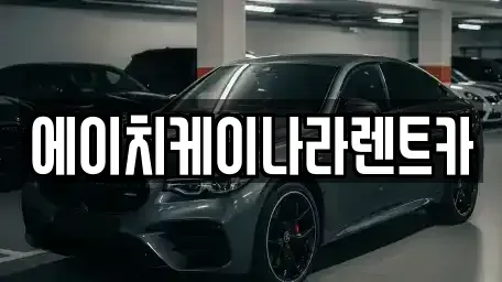 대전광역시 유성구 둔곡동 렌트카 전문 에이치케이나라렌트카