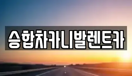 대전광역시 중구 무수동 렌트카 전문 승합차카니발렌트카