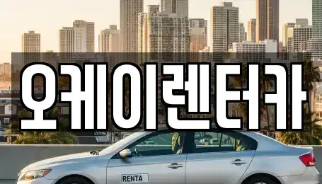 대전광역시 중구 무수동 렌트카 전문 오케이렌터카