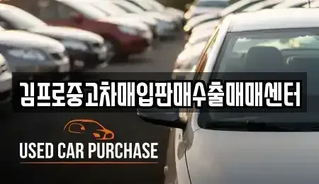 대전광역시 중구 무수동 중고차 전문 김프로중고차매입판매수출매매센터