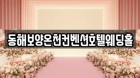 동해시 심곡동 웨딩드레스 리뷰 1