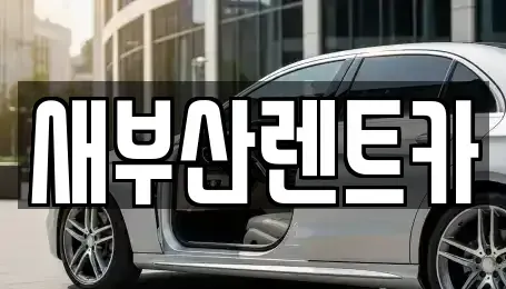 부산 북구 단기렌트카,중고차매입,중고차매매,중고차,렌트카,장기렌트카