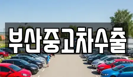 부산 북구 중고차매매 전문 부산중고차수출