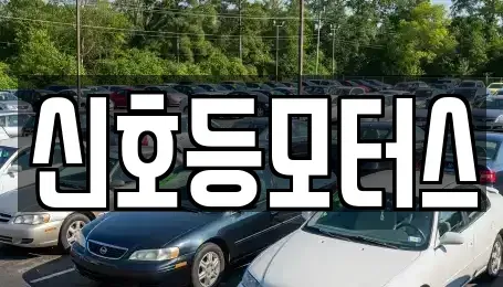 부산 북구 중고차매매 전문 신호등모터스