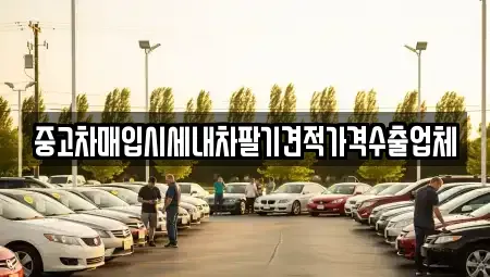 부산 북구 중고차매입 전문 중고차매입시세내차팔기견적가격수출업체