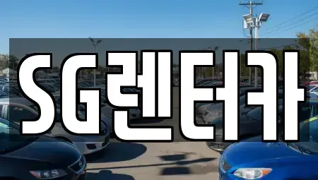 부산 중구 남포동4가 렌트카 전문 SG렌터카