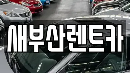부산 중구 남포동4가 렌트카 전문 새부산렌트카