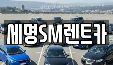 부산 중구 남포동4가 렌트카 전문 세명SM렌트카