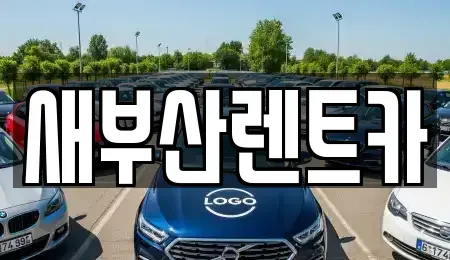 부산 중구 부평동1가 렌트카 전문 새부산렌트카