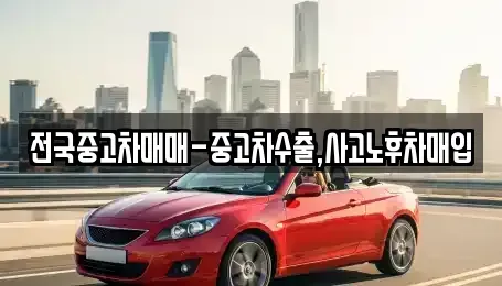 부산 중구 부평동1가 중고차 전문 전국중고차매매-중고차수출,사고노후차매입
