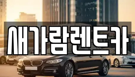부산광역시 동구 범일동 렌트카 전문 새가람렌트카